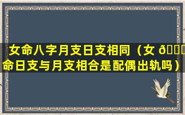 女命八字月支日支相同（女 🕊 命日支与月支相合是配偶出轨吗）